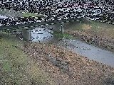 狩川 大泉河原橋付近のカメラ画像