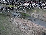大泉河原橋付近のカメラ画像