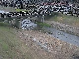 大泉河原橋付近のカメラ画像