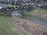 大泉河原橋付近のカメラ画像