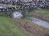 大泉河原橋付近のカメラ画像