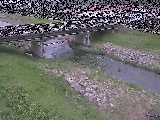 狩川 大泉河原橋付近のカメラ画像