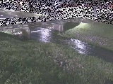 大泉河原橋付近のカメラ画像