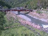 中津川 田代橋付近のカメラ画像