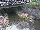 洞川 新下原橋付近のカメラ画像