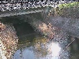 洞川 新下原橋付近のカメラ画像