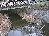 洞川 新下原橋付近のカメラ画像