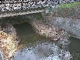 新下原橋付近のカメラ画像