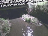 洞川 新下原橋付近のカメラ画像