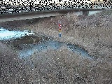 尾崎橋付近のカメラ画像