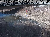 内川 尾崎橋付近のカメラ画像
