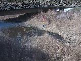 尾崎橋付近のカメラ画像