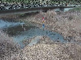 尾崎橋付近のカメラ画像