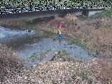 尾崎橋付近のカメラ画像