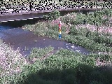 内川 尾崎橋付近のカメラ画像