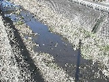 藤沢川 暁橋付近のカメラ画像