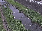 藤沢川 暁橋付近のカメラ画像