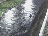 尺里川 水上橋付近のカメラ画像
