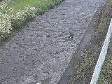 水上橋付近のカメラ画像