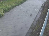 尺里川 水上橋付近のカメラ画像
