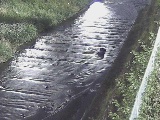 水上橋付近のカメラ画像