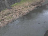 堀割橋付近のカメラ画像
