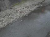 堀割橋付近のカメラ画像