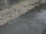 堀割橋付近のカメラ画像