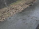 皆瀬川 堀割橋付近のカメラ画像