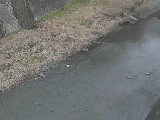 堀割橋付近のカメラ画像