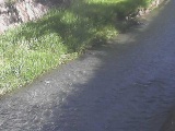 皆瀬川 堀割橋付近のカメラ画像