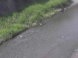 堀割橋付近のカメラ画像