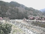 虫沢川 谷戸口橋付近のカメラ画像
