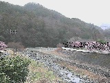 虫沢川 谷戸口橋付近のカメラ画像