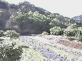 虫沢川 谷戸口橋付近のカメラ画像