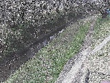 滝沢川 滝沢橋付近のカメラ画像