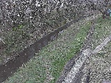 滝沢橋付近のカメラ画像