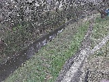 滝沢橋付近のカメラ画像