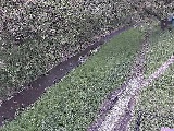 滝沢川 滝沢橋付近のカメラ画像