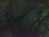 滝沢橋付近のカメラ画像
