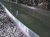 富士見橋付近のカメラ画像
