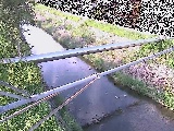 坂呂橋付近のカメラ画像