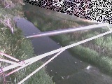 坂呂橋付近のカメラ画像