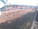 早川 大窪橋付近のカメラ画像