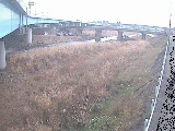 早川 大窪橋付近のカメラ画像