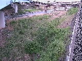 大窪橋付近のカメラ画像