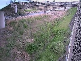 早川 大窪橋付近のカメラ画像