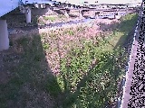 大窪橋付近のカメラ画像