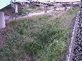 早川 大窪橋付近のカメラ画像