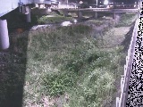 大窪橋付近のカメラ画像